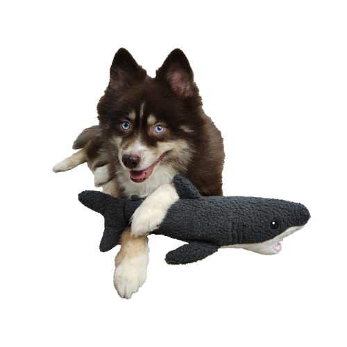 Barker's Bowtique Wildlife Collection Gilly the Shark Dog Toy