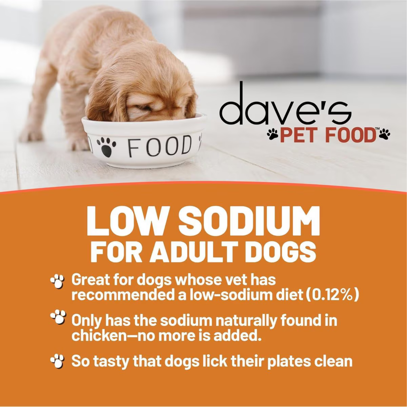 Dave's Pet Food Restricted Sodium Chicken Recipe Grain-Free Dinner Canned Dog Food, 13.2-oz