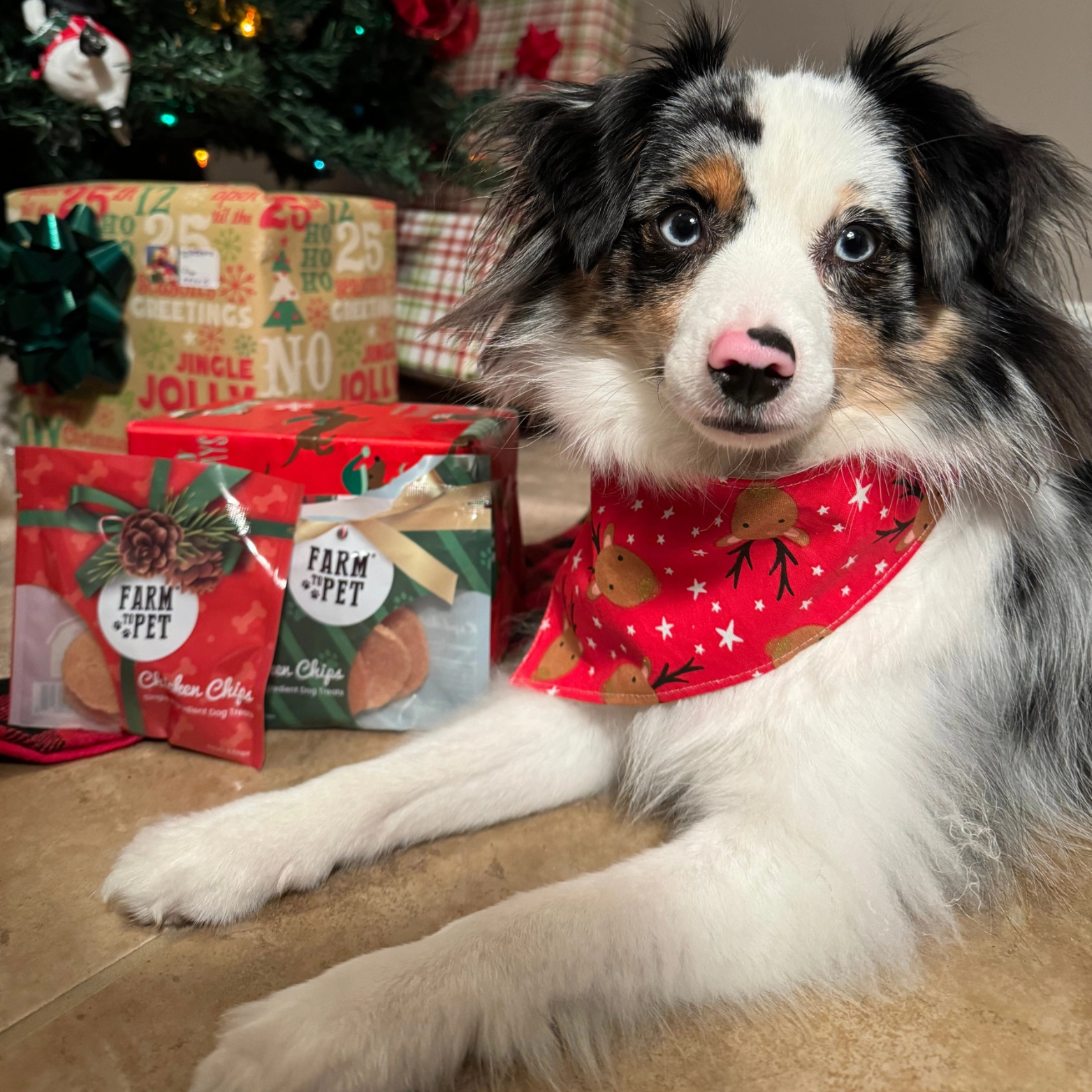 Farm To Pet Holiday Snack Pack Dog Treats