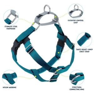 2 Hounds Design Freedom No-Pull Dog Harness With Leash Teal - Mutts & Co.