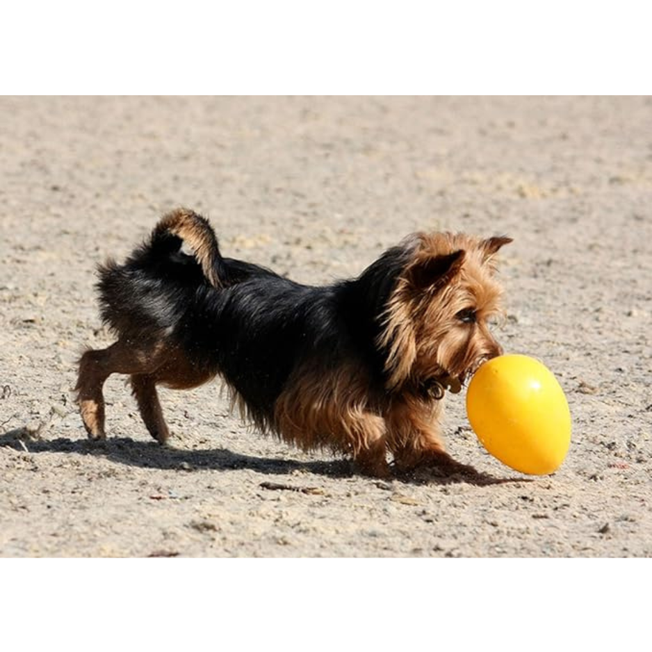 Jolly Pets Egg Dog Toy Yellow