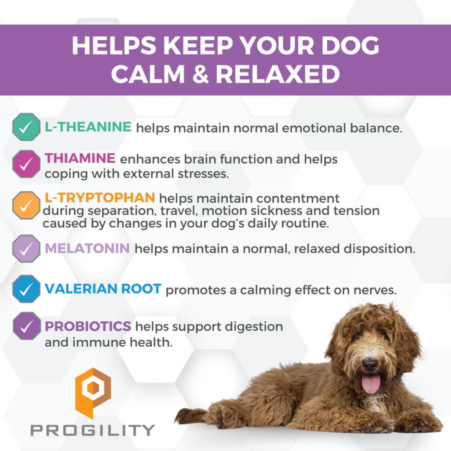 Nootie Progility Calming Aid Soft Chew Supplement for Dogs 90 ct