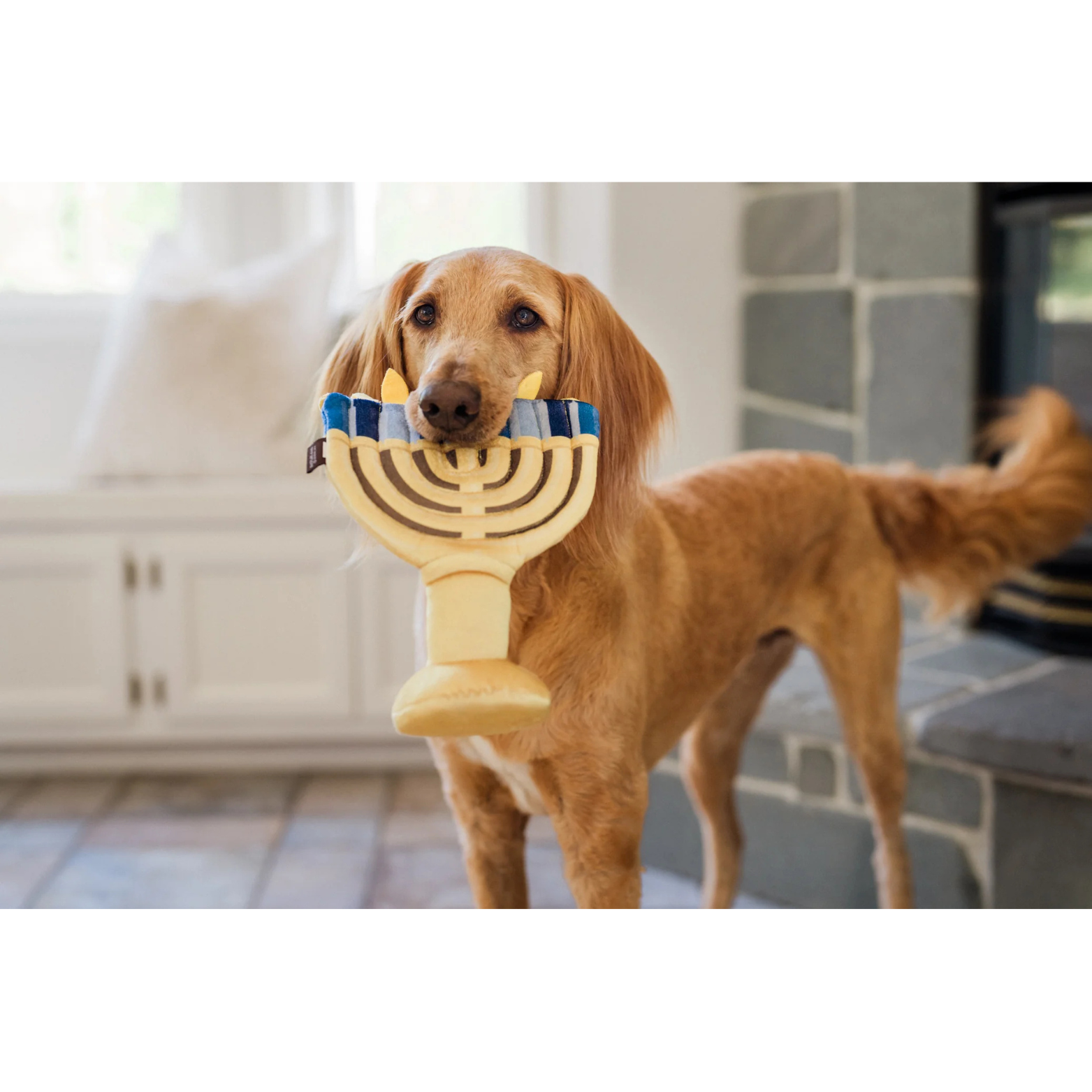 P.L.A.Y. Pet Lifestyle and You Paw-Nukkah Menorah Dog Toy