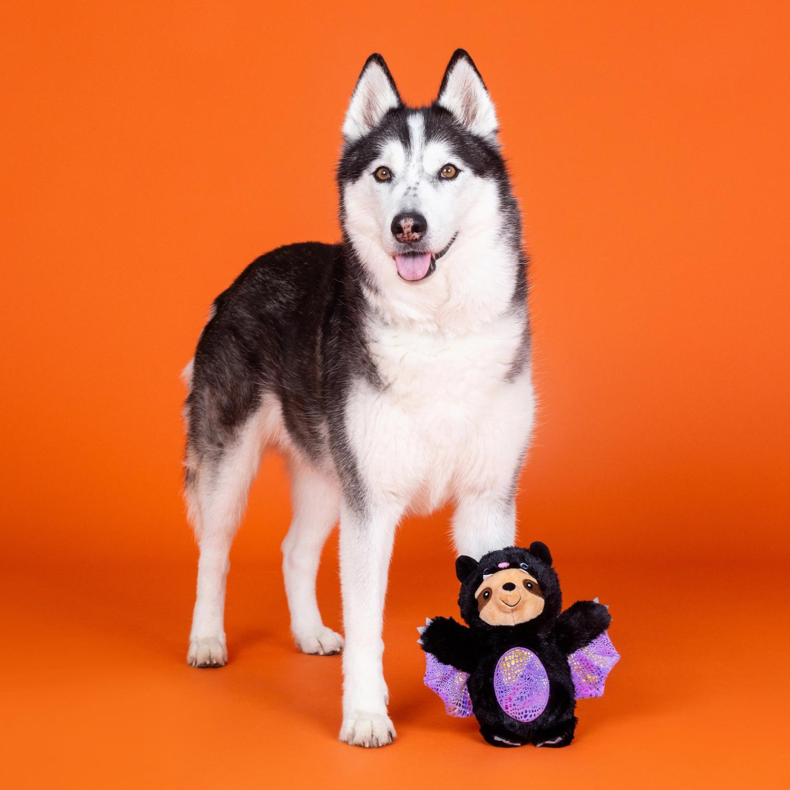 Pet Shop by Fringe Studio It be Like Bat Plush Dog Toy