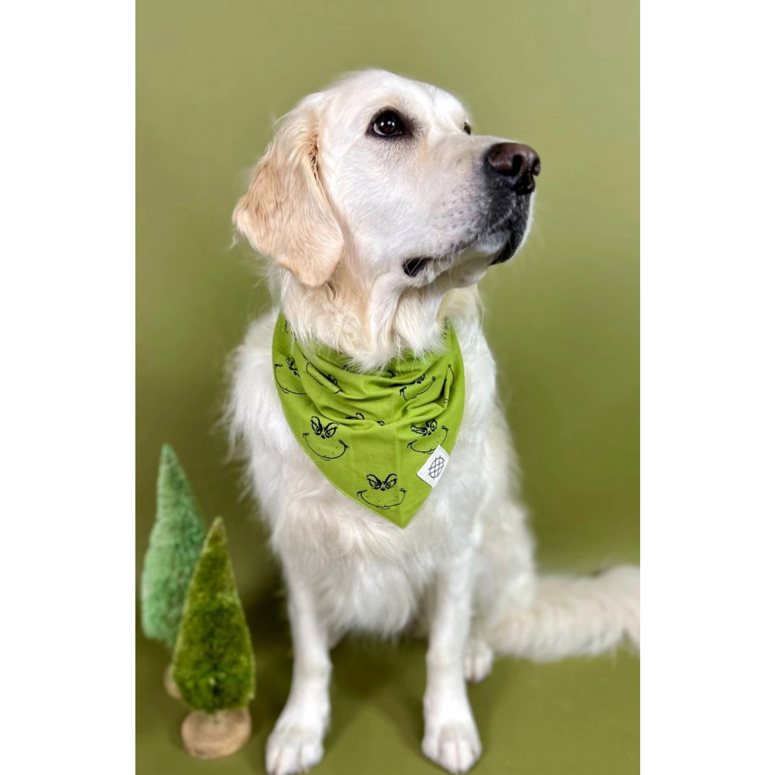 The Paws Grinch Holiday Bandana