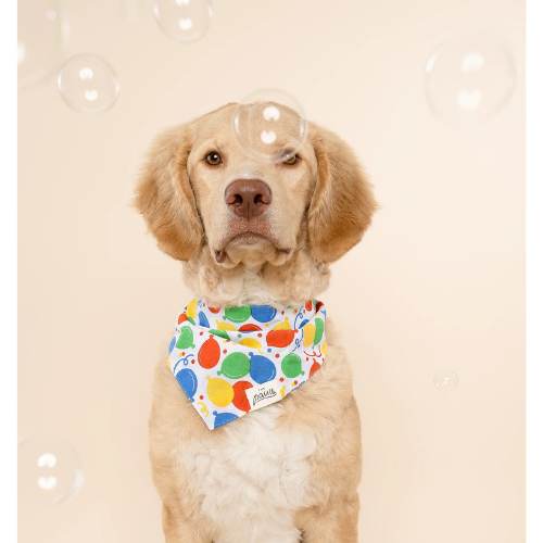 The Paws Party Animal Dog Bandana