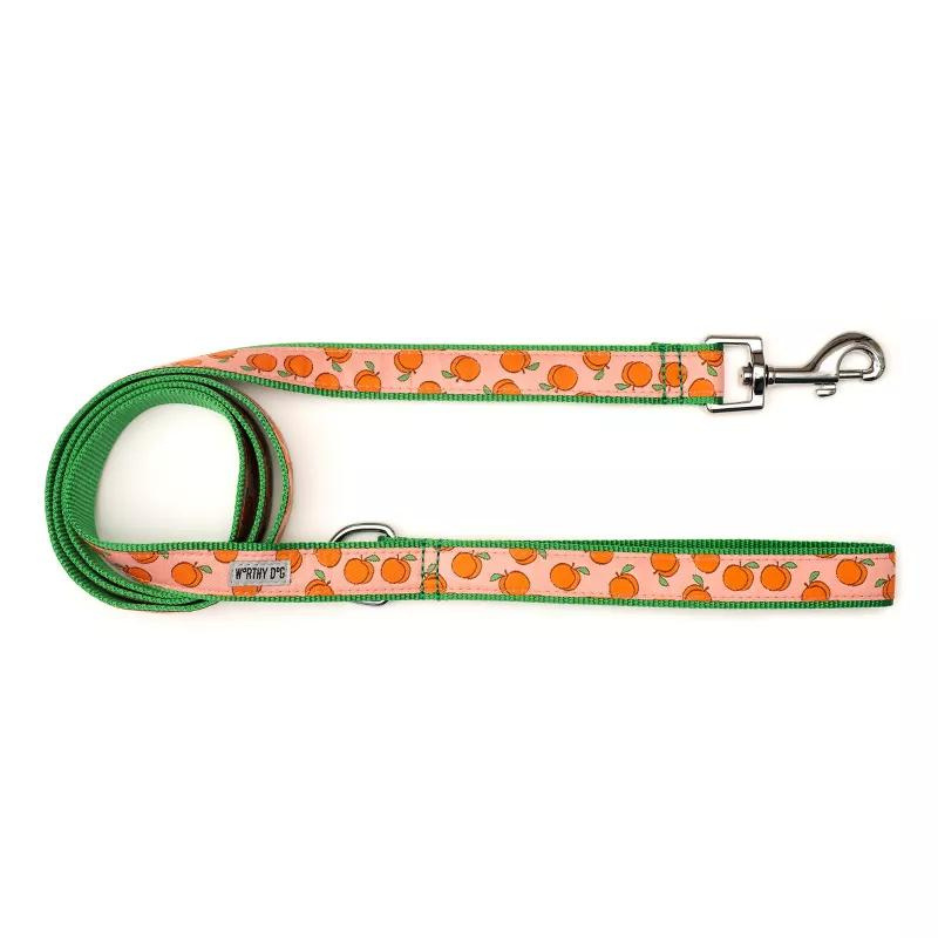 The Worthy Dog Peachy Keen Dog Lead