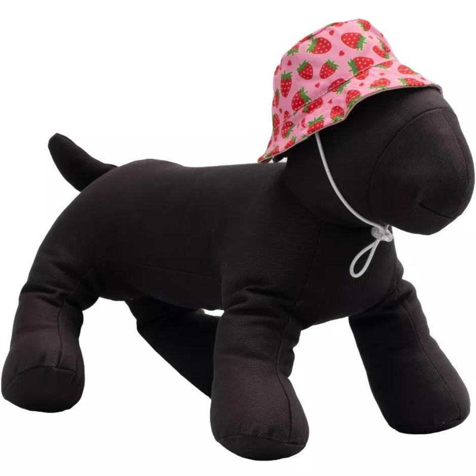 The Worthy Dog Strawberries Bucket Hat Dog Accessory