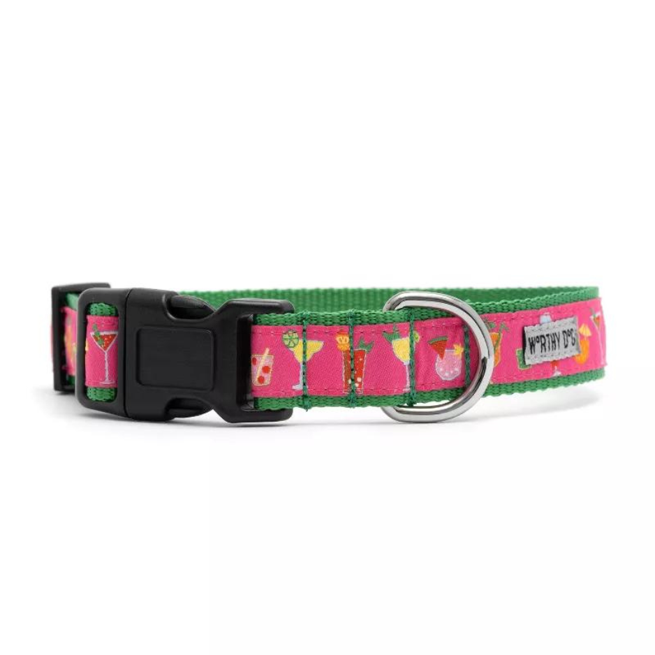 The Worthy Dog Summer Cheer Dog Collar