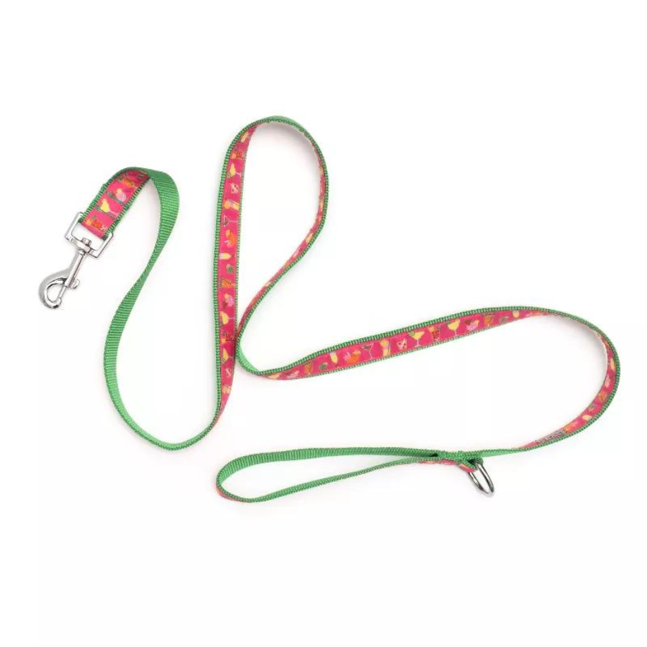 The Worthy Dog Summer Cheer Dog Lead