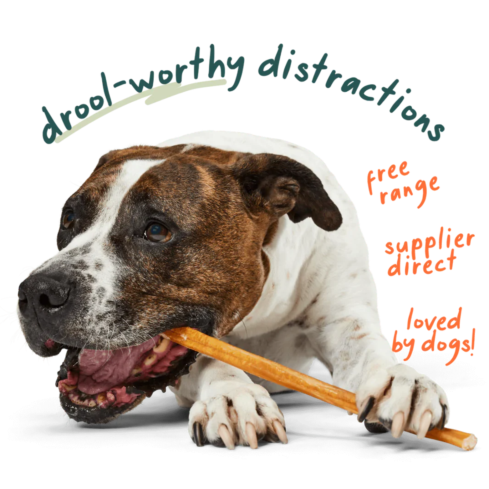 Woof Pet Bullysafe Pure Collagen Chews Dog Treat