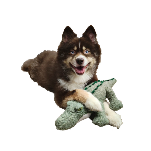 Barker's Bowtique Wildlife Collection Ellie the Alligator Dog Toy