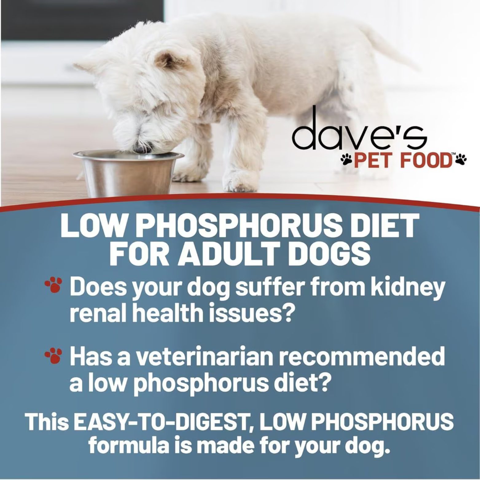 Dave's Pet Food Restricted Phosphorus & Kidney Support Tuna Dinner Canned Dog Food, 13.2-oz