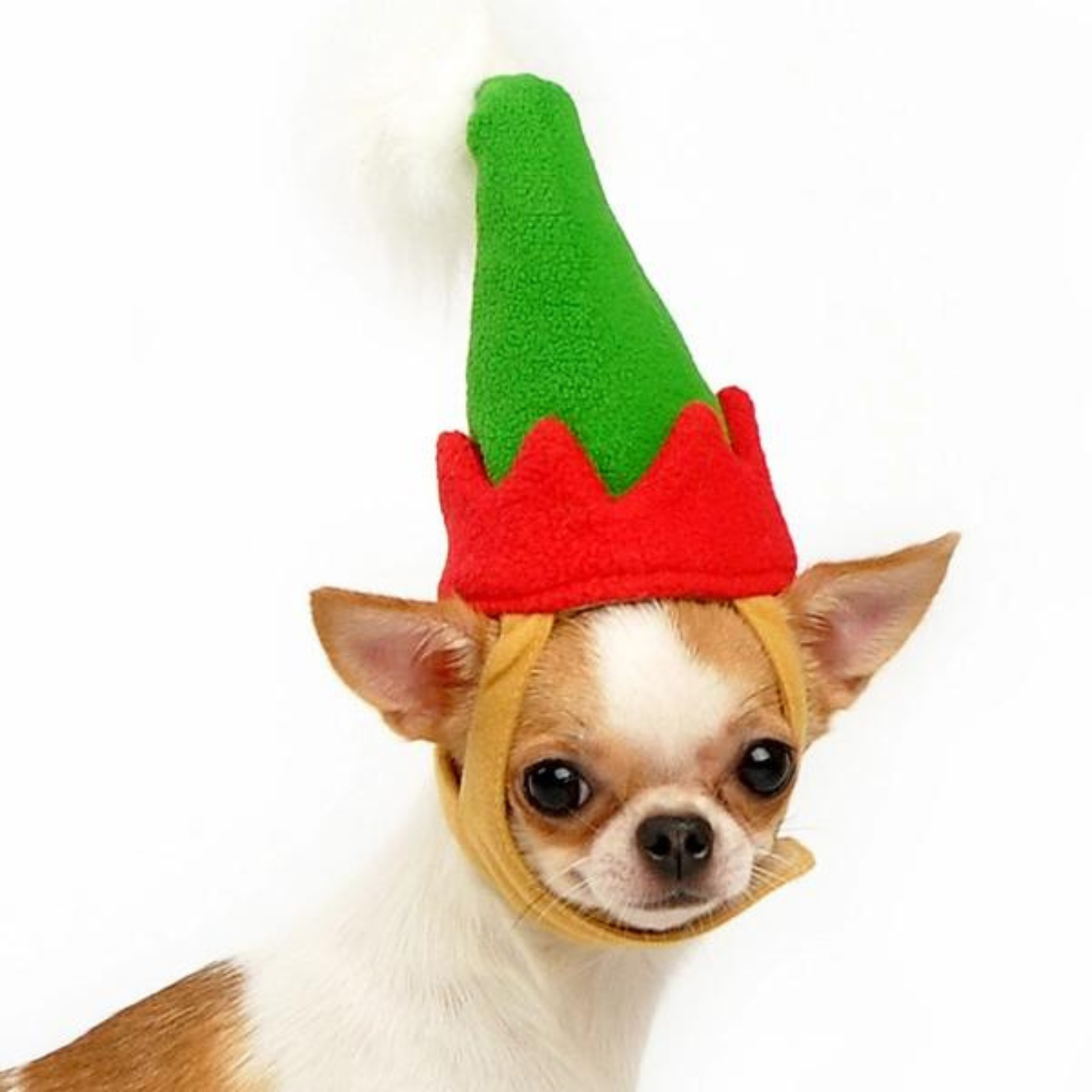 Dogo Pet Elf Hat for Dogs