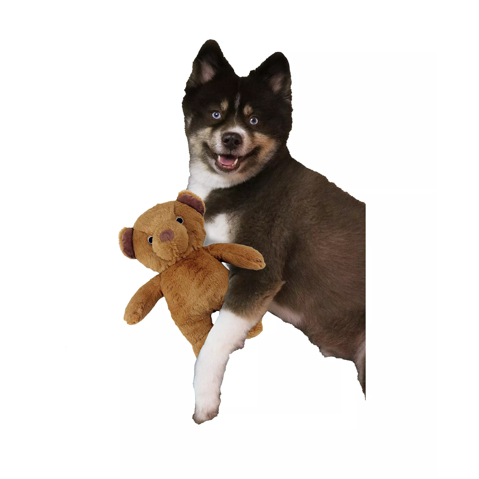 Dogstar Toys Roosevelt the Teddy Bear Plush Dog Toy