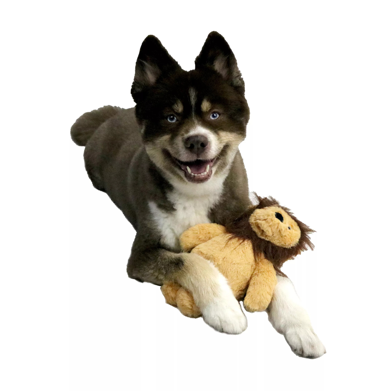 Dogstar Toys Rory the Lion Plush Dog Toy