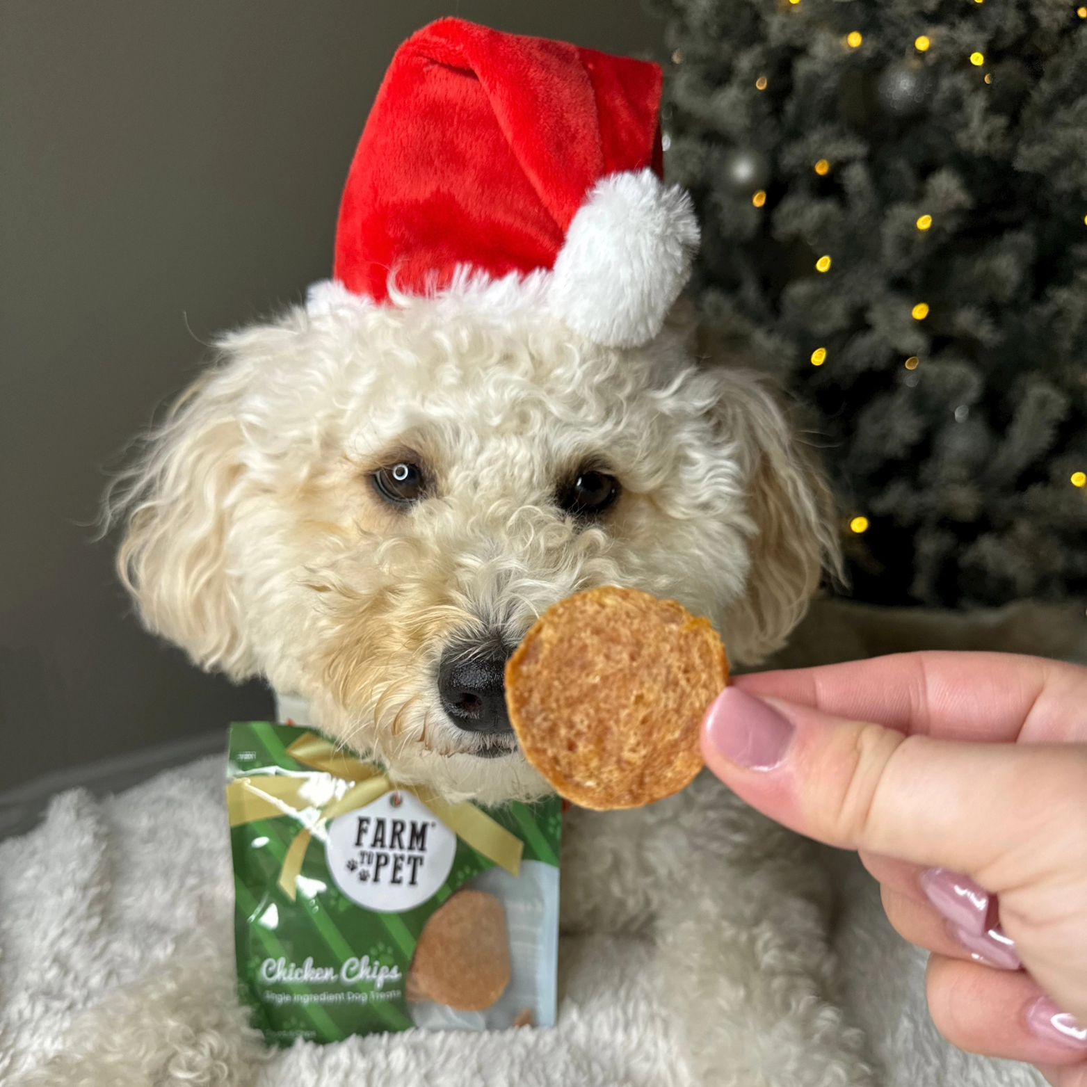 Farm To Pet Holiday Snack Pack Dog Treats