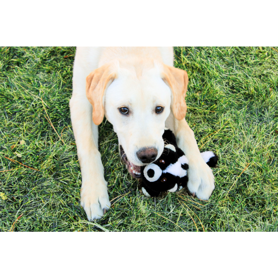 Furry Flingerz on Stick Skunk Dog Toy