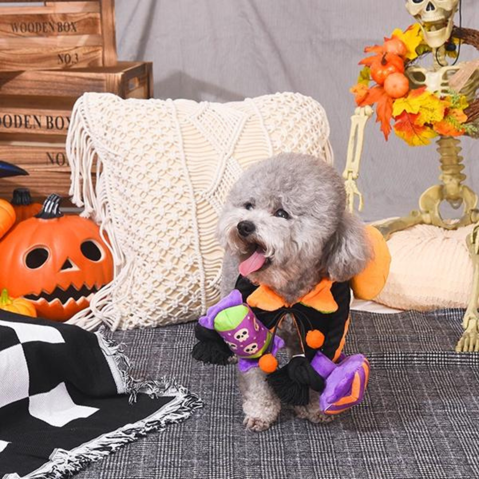 Hugsmart Howloween Night Howloween Candy Rope Toy