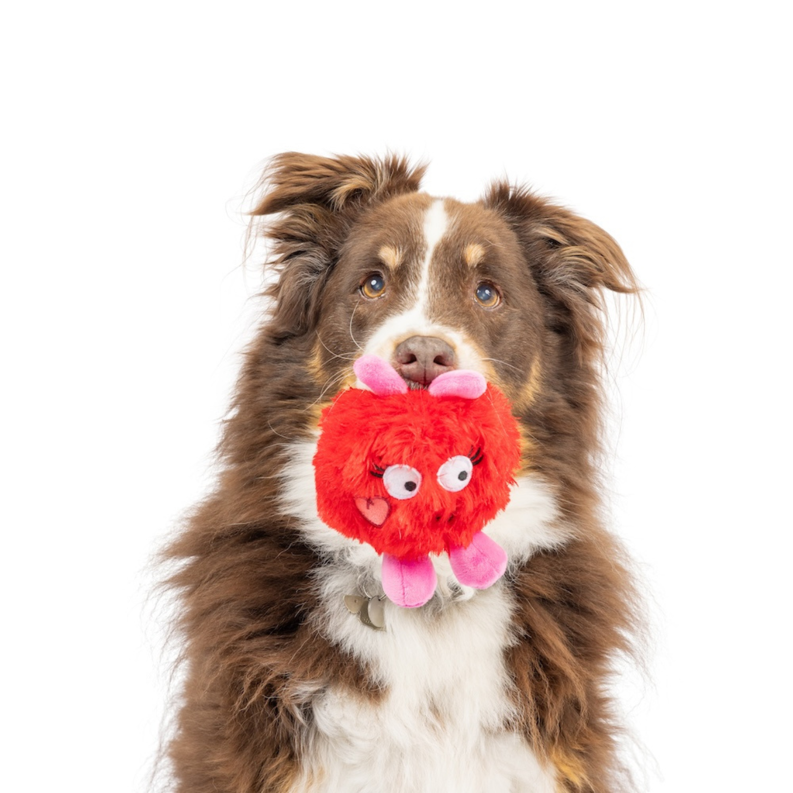 Huxley & Kent Valentine's Fur Bug Dog Toy