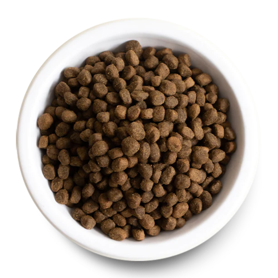 Open Farm Ancient Grains High-Protein Puppy Dry Dog Food