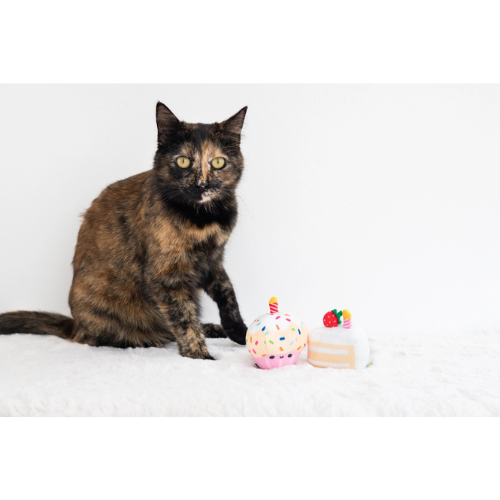 Pearhead Catnip Birthday Cake Cat Toy Set