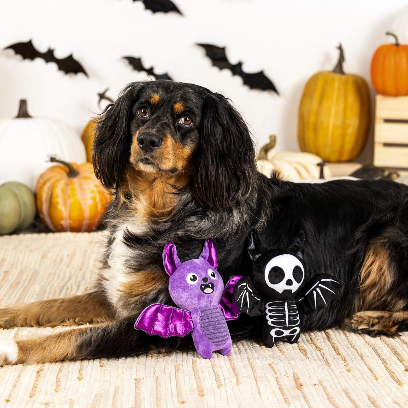 Pet Shop by Fringe Studio Bat to the Bone Plush Dog Toy