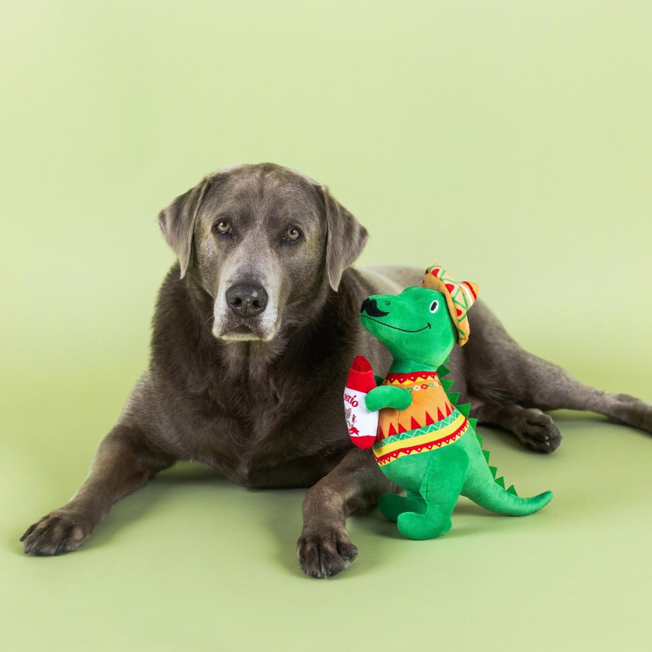 Pet Shop by Fringe Studio Fiesta Saurus Plush Dog Toy