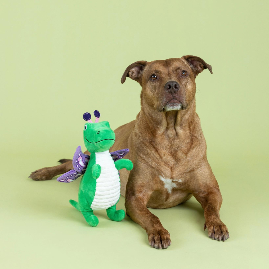 Pet Shop by Fringe Studio Flutter Rex Plush Dog Toy