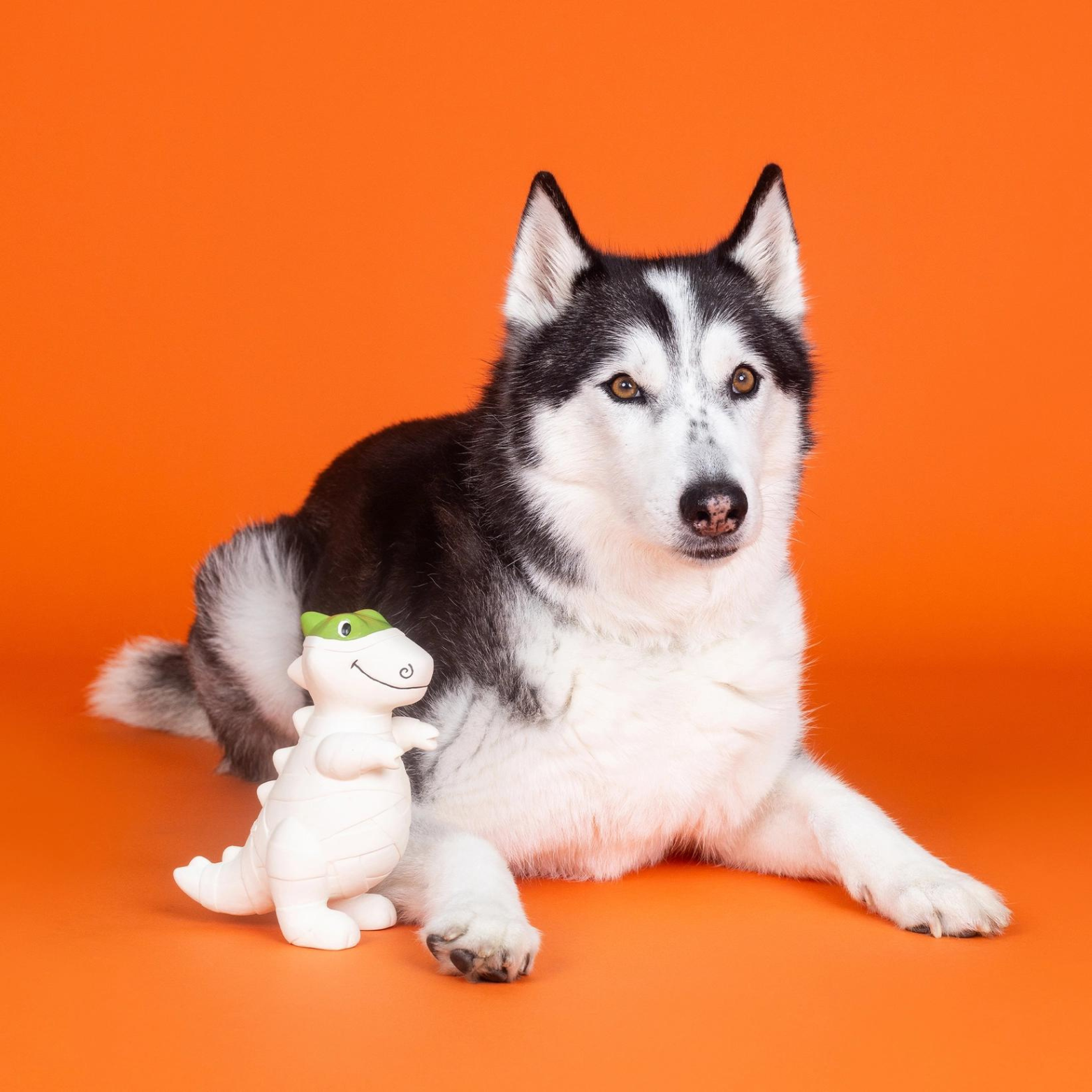 Pet Shop by Fringe Studio Here To Gauze Me Trouble Latex Dog Toy