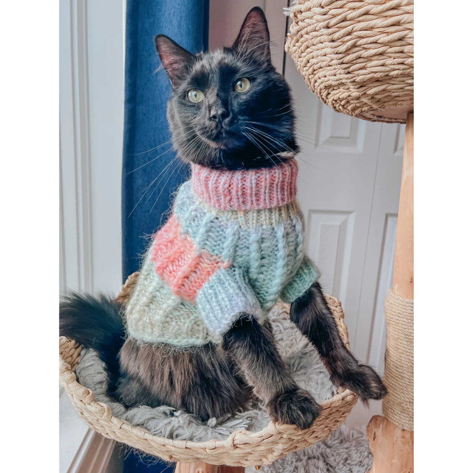 Sassy Woof Dog Cable Knit Sweater Pastel