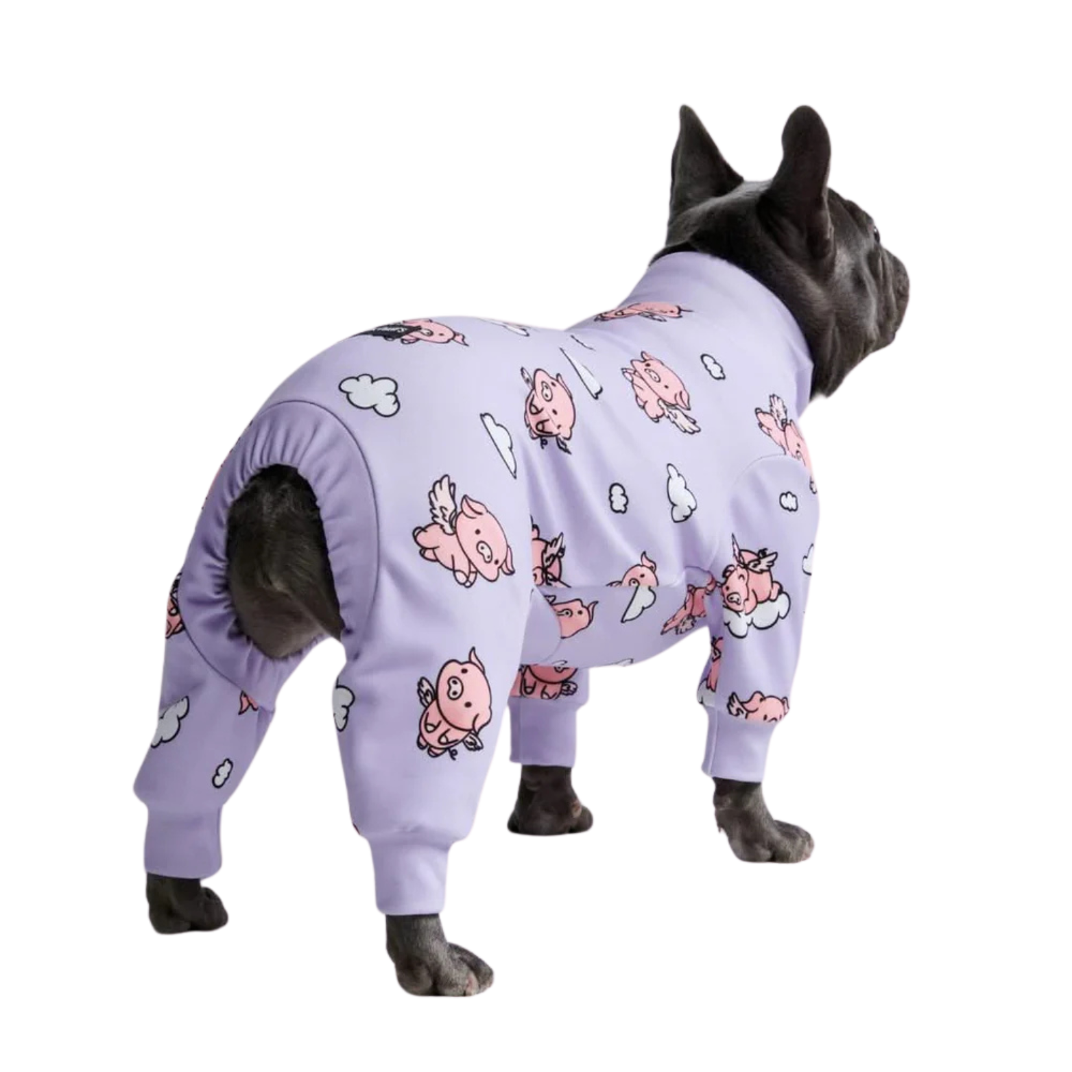 Spark Paws Dog Pajama When Pigs Fly