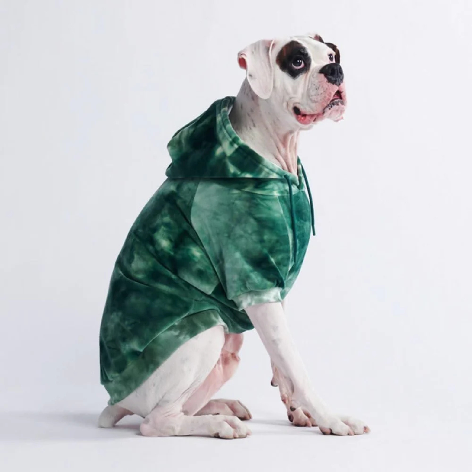 Spark Paws Velvet Dog Hoodie Emerald Green