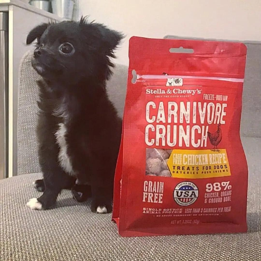 Stella & Chewy's Carnivore Crunch Cage-Free Chicken Recipe Freeze-Dried Dog Treats 3.25 oz - Mutts & Co.