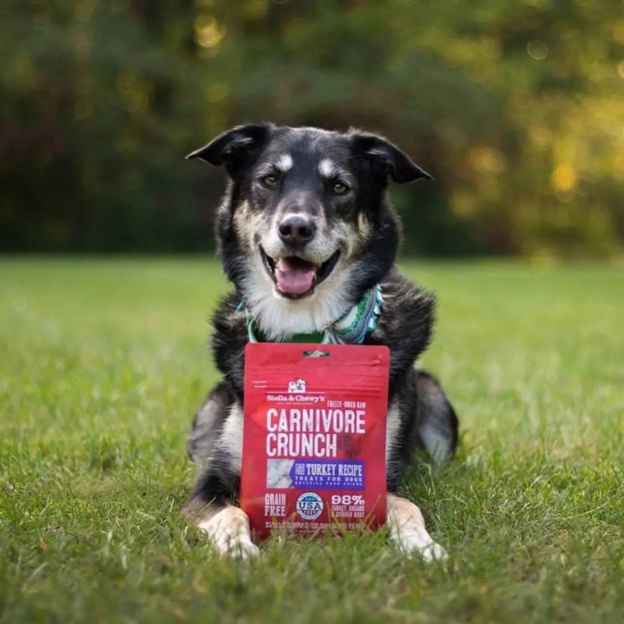 Stella & Chewy's Carnivore Crunch Cage-Free Turkey Recipe Freeze-Dried Dog Treats 3.25 oz - Mutts & Co.