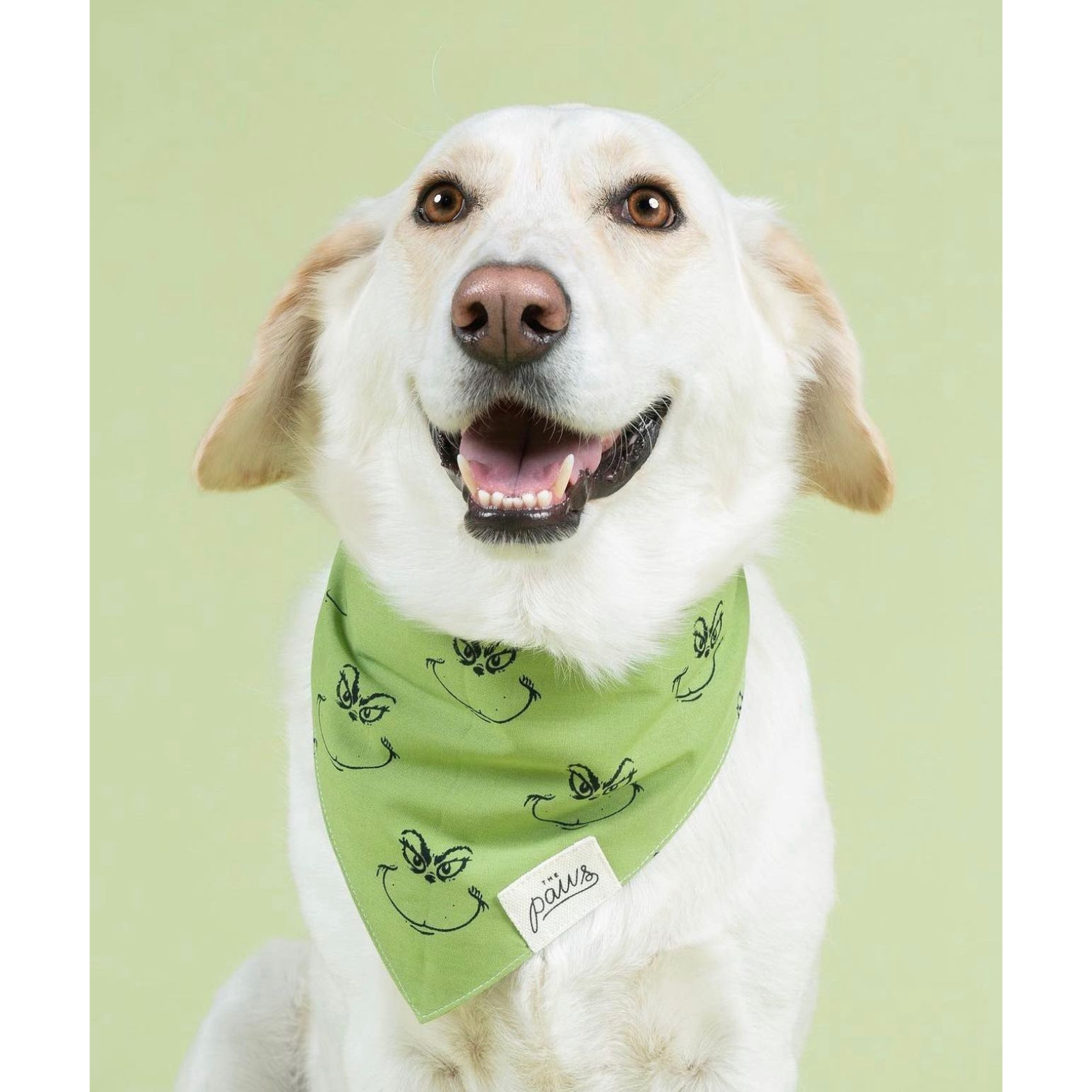 The Paws Grinch Holiday Bandana