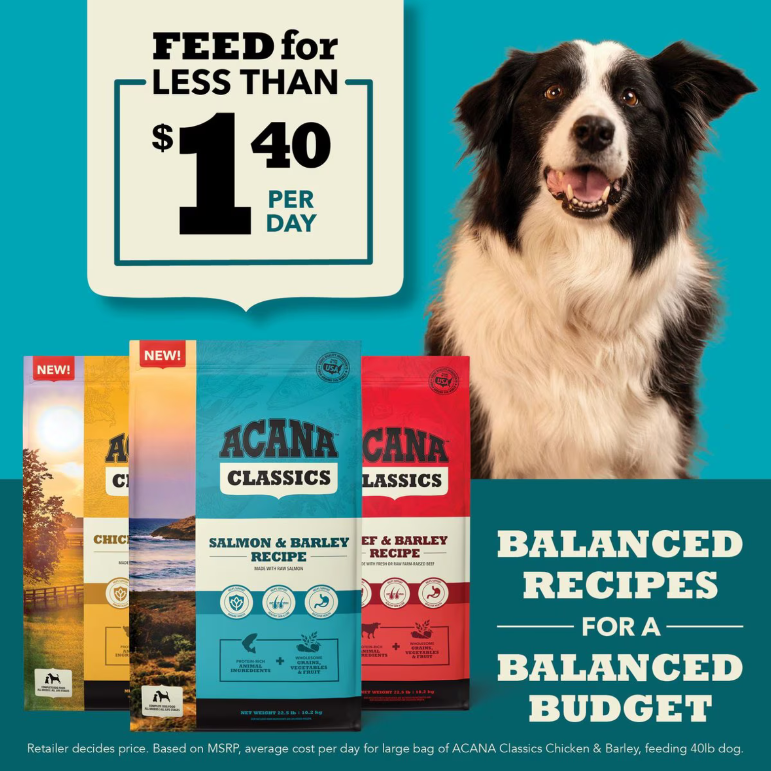 Acana Classics Beef & Barley Recipe Dry Dog Food