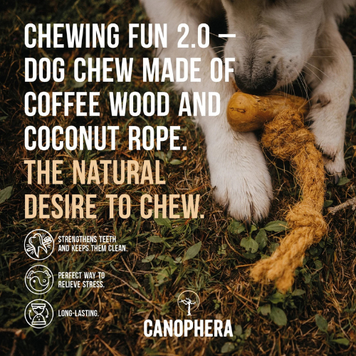 Canophera Coffee Wood & Coconut Rope Dog Chew