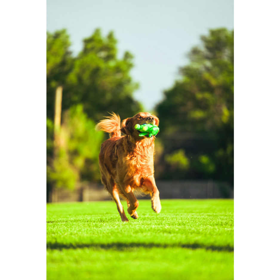 Funky Flingerz on Stick Frog Dog Toy