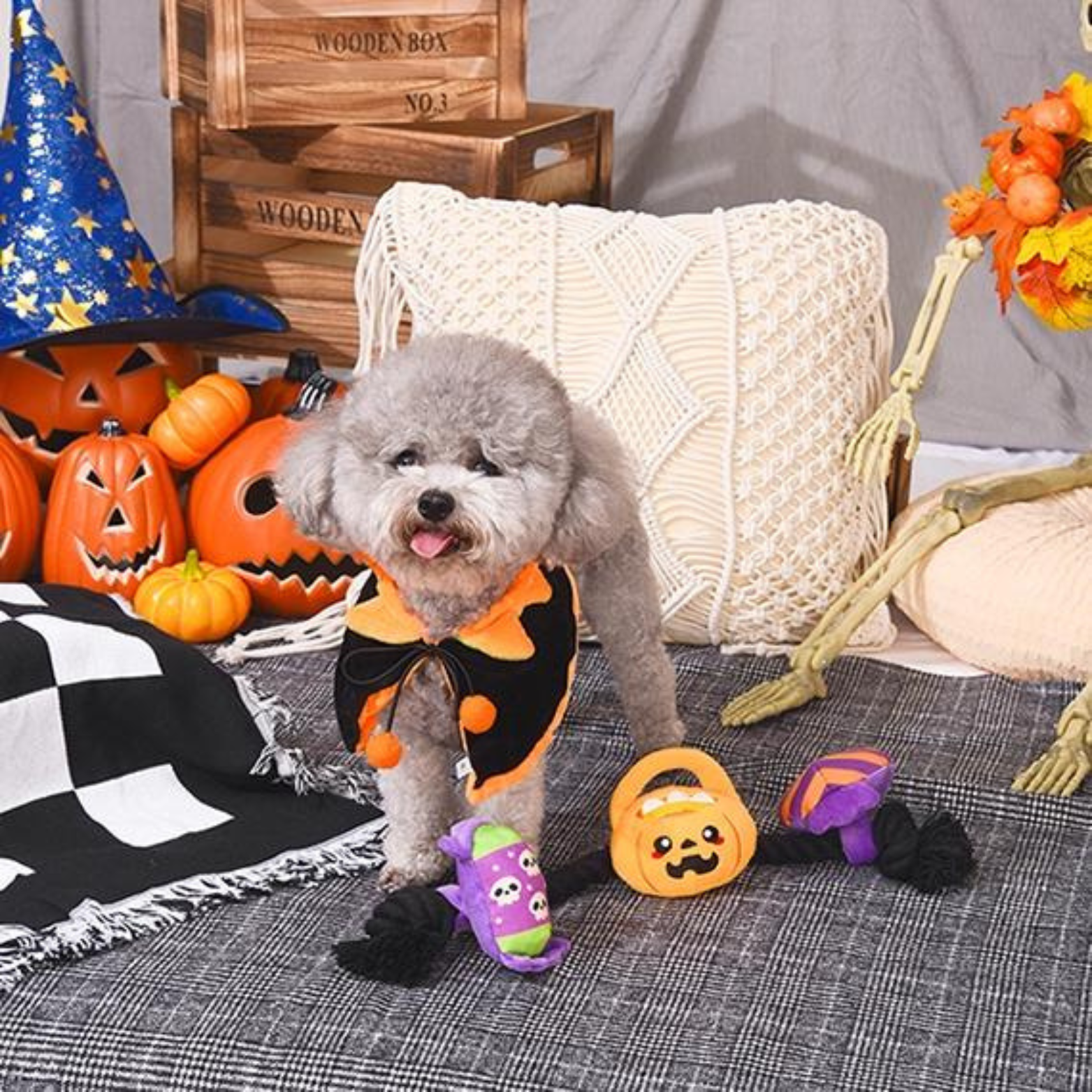 Hugsmart Howloween Night Howloween Candy Rope Toy