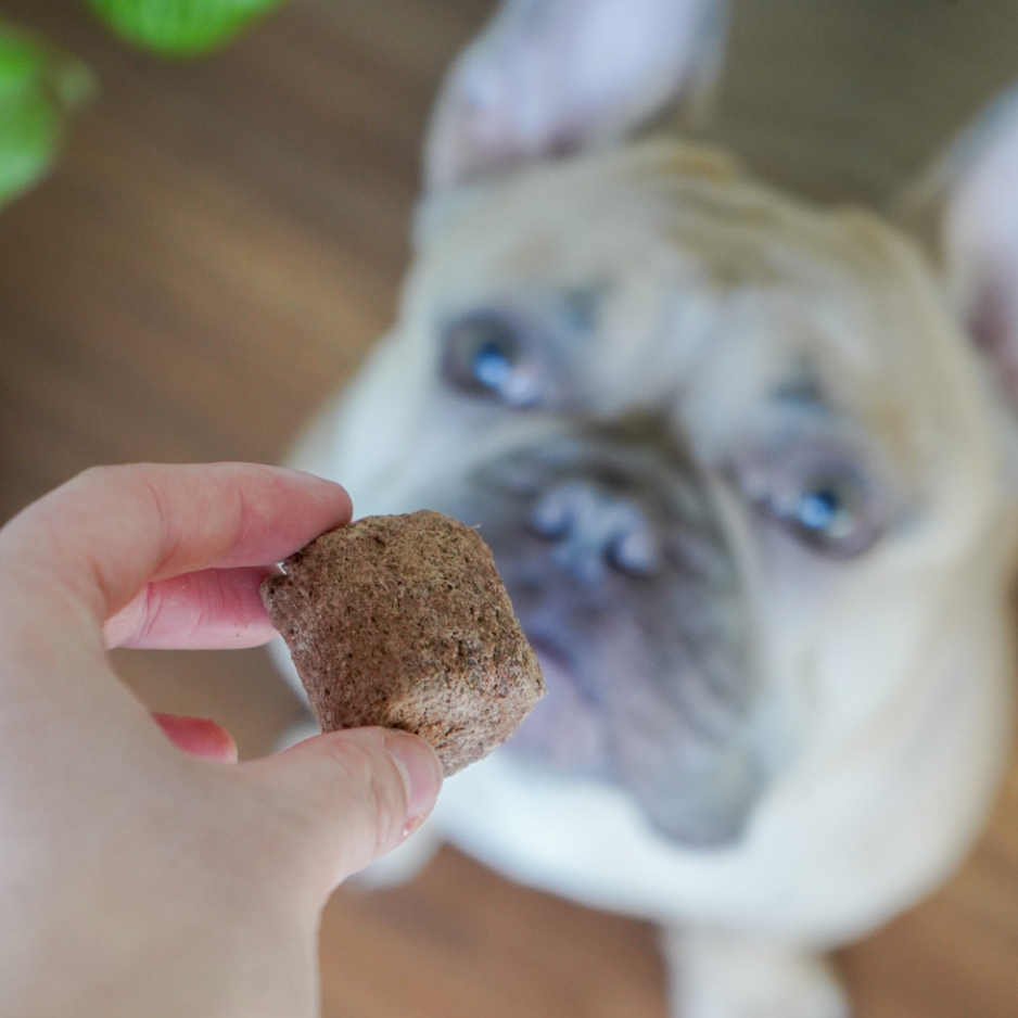 Oma's Pride Beef Organ Rounds Freeze-Dried Dog & Cat Food