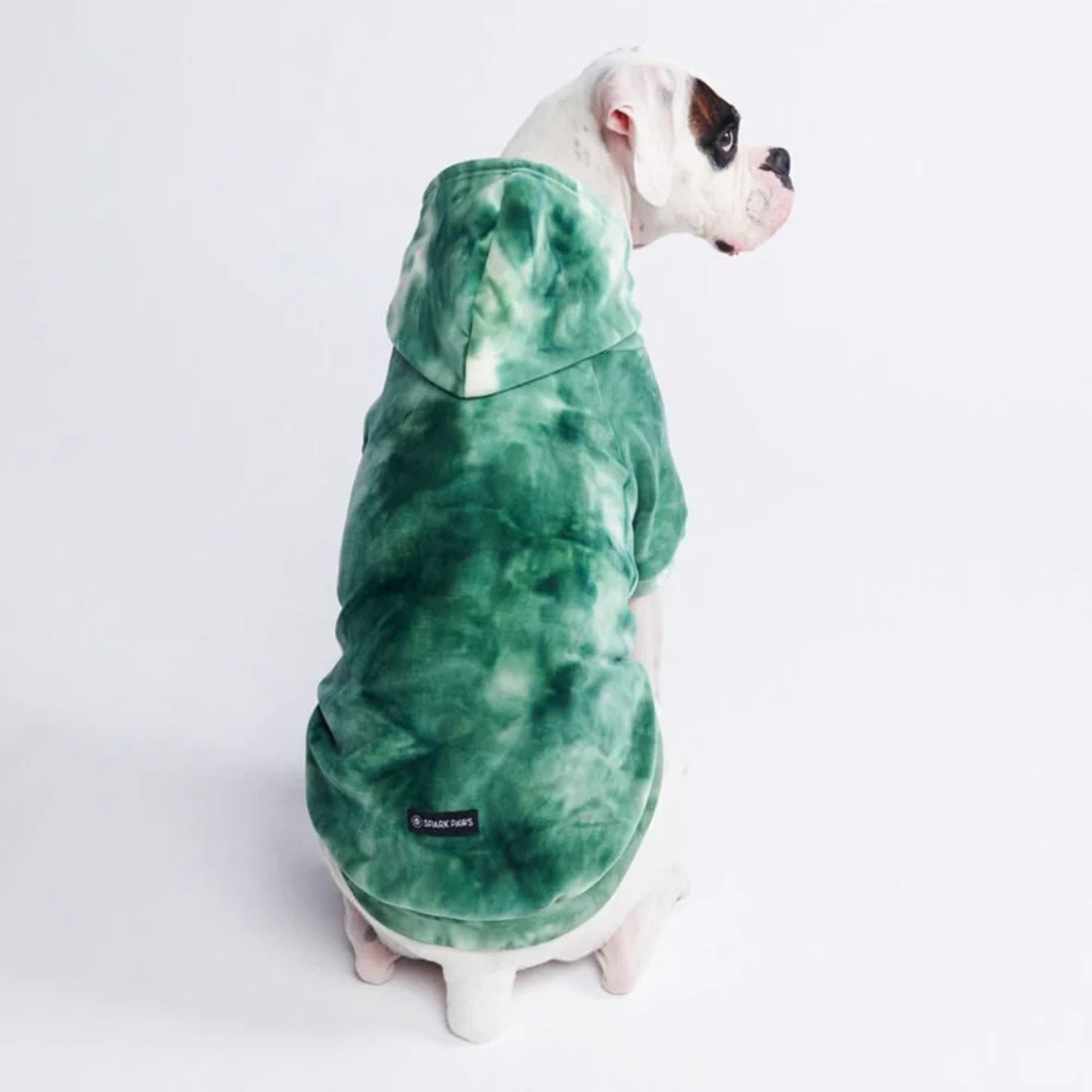 Spark Paws Velvet Dog Hoodie Emerald Green