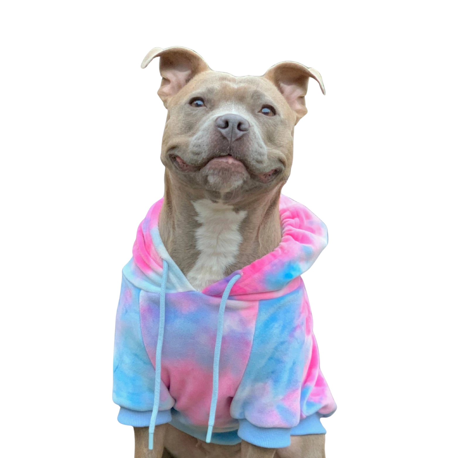 Spark Paws Velvet Dog Hoodie Snow Cone