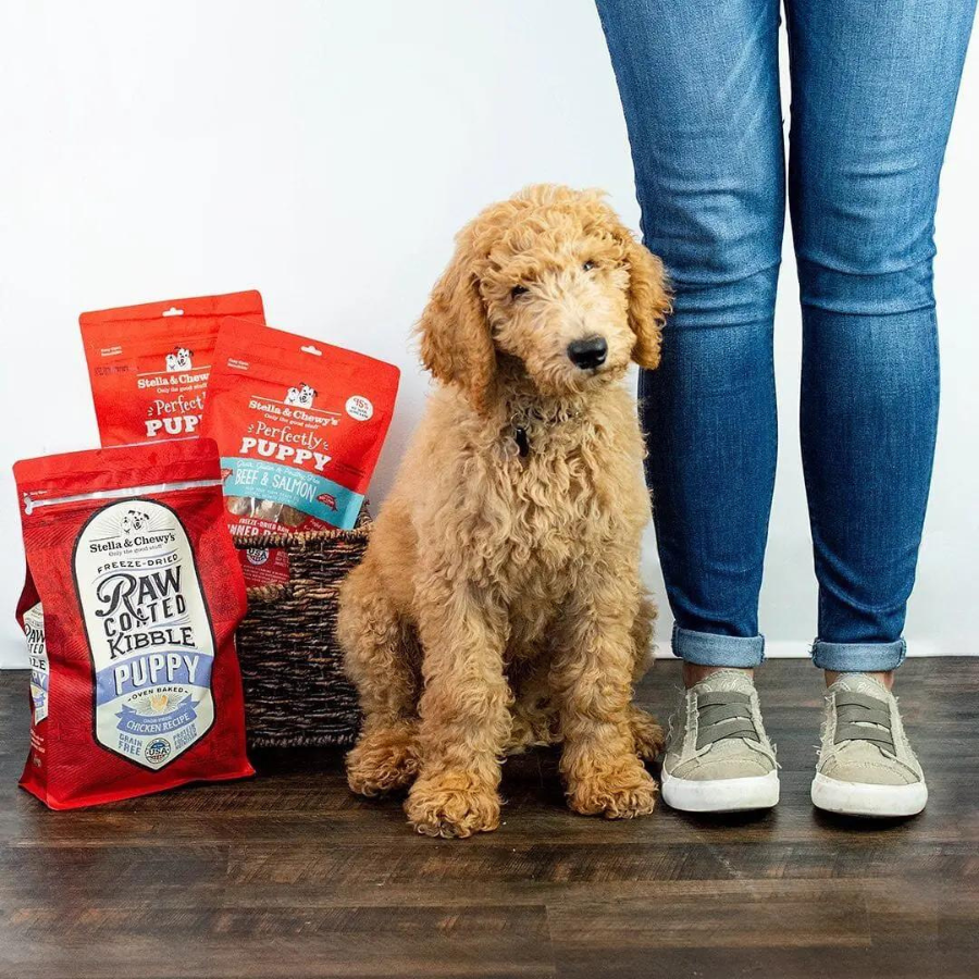 Stella & Chewy's Cage-Free Chicken Recipe Puppy Raw Coated Baked Kibble Dog Food - Mutts & Co.