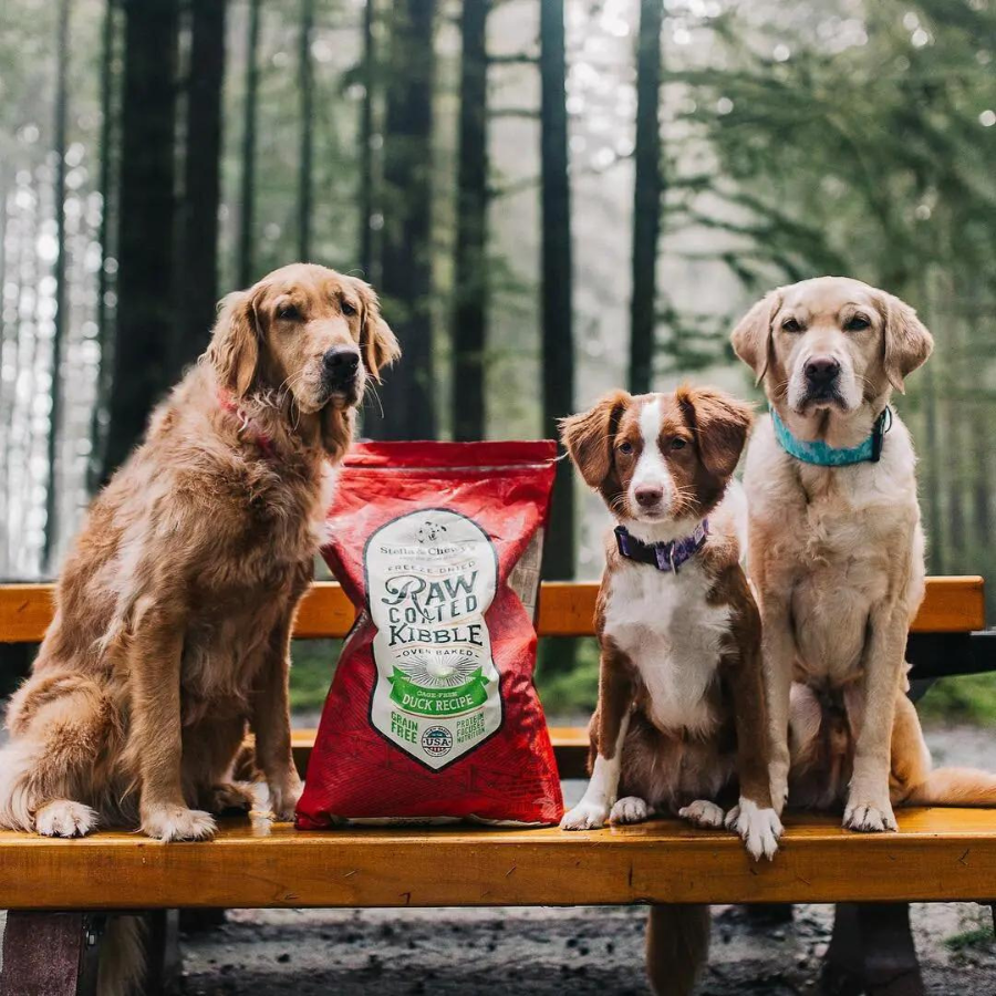 Stella & Chewy's Cage-Free Duck Recipe Raw Coated Kibble Dry Dog Food - Mutts & Co.