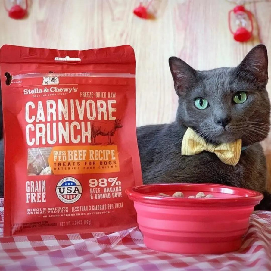 Stella & Chewy's Carnivore Crunch Grass-Fed Beef Recipe Freeze-Dried Dog Treats 3.25 oz - Mutts & Co.