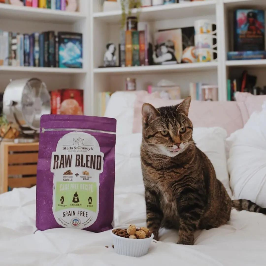 Stella & Chewy's Raw Blend Kibble Cage-Free Poultry Recipe Cat Food - Mutts & Co.