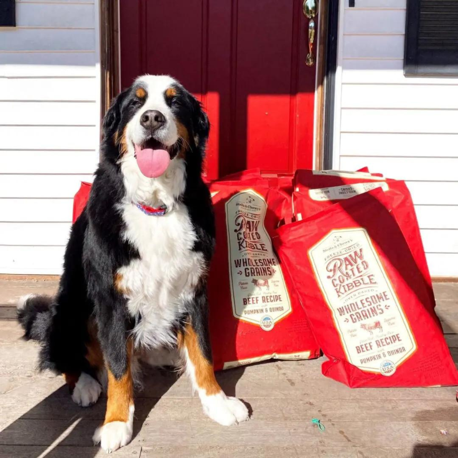 Stella & Chewy's Wholesome Grain Beef Recipe Raw Coated Baked Kibble Dog Food - Mutts & Co.