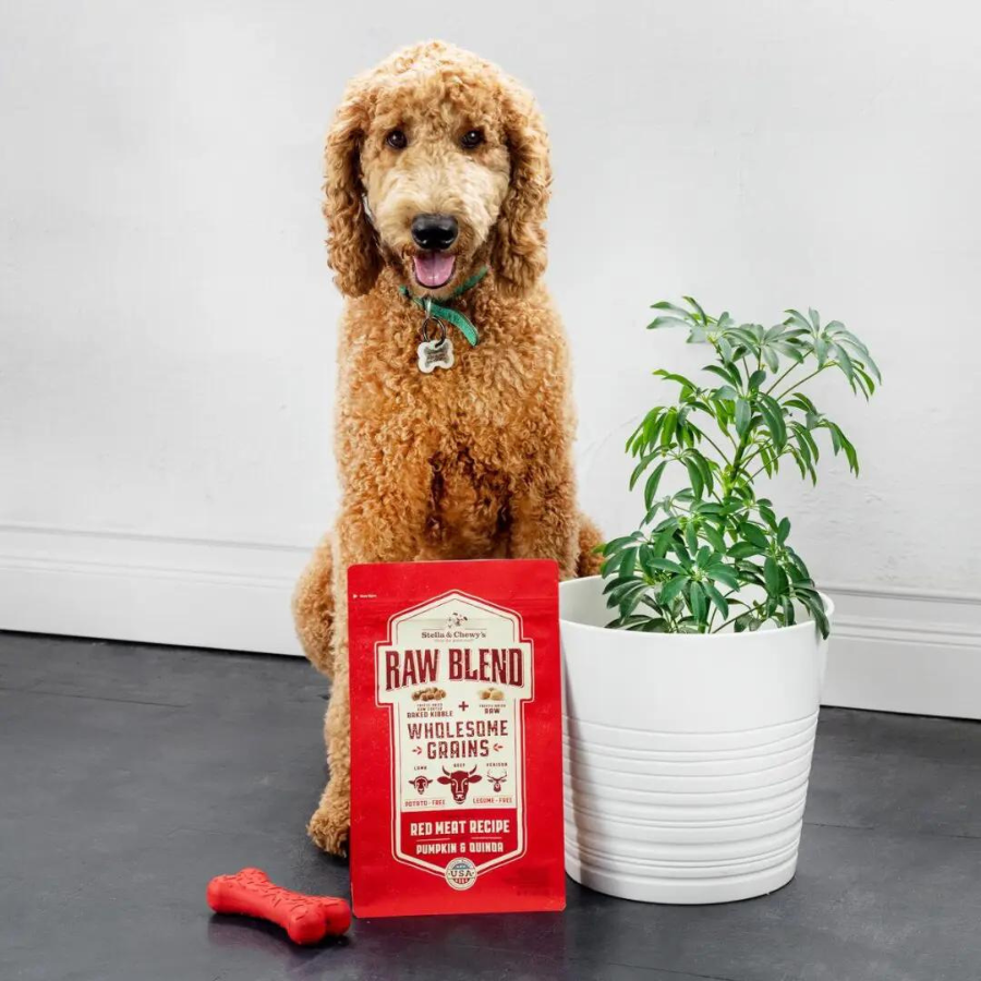 Stella & Chewy's Wholesome Grain Red Meat Recipe Raw Blend Baked Kibble Dog Food - Mutts & Co.