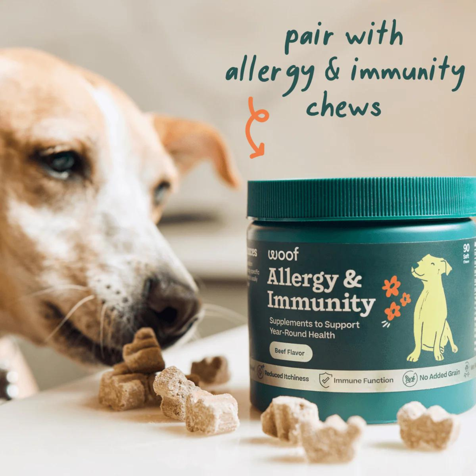 Woof Pet Allergy and Immunity Wellness Pops Dog Treat